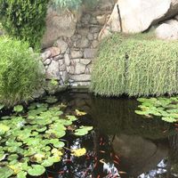 Вилла в Испании, Каталония, Льорет-де-Мар, 300 кв.м.