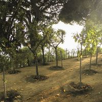 Вилла в Испании, Каталония, Льорет-де-Мар, 300 кв.м.