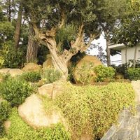 Вилла в Испании, Каталония, Льорет-де-Мар, 300 кв.м.