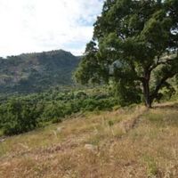 Villa in Spain, Catalunya, Girona, 425 sq.m.