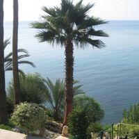 Villa in Spain, Comunitat Valenciana, Altea, 500 sq.m.