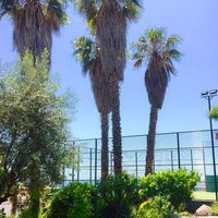 Вилла в Испании, Каталония, Льорет-де-Мар, 380 кв.м.