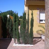 Вилла в Испании, Валенсия, Аликанте, 490 кв.м.