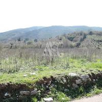 Земельный участок в пригороде в Черногории, Будва, Пржно