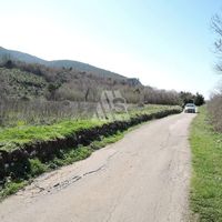 Земельный участок в пригороде в Черногории, Будва, Пржно