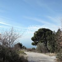 Земельный участок в пригороде в Черногории, Будва, Пржно