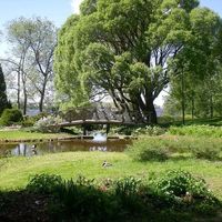 Production in the mountains, in the village, by the lake in Montenegro