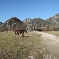Production in the mountains, in the village, by the lake in Montenegro