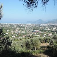 Другое в пригороде, в лесу в Черногории, Бар