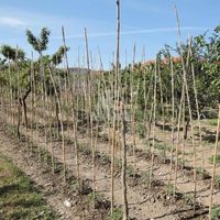 Land plot in the suburbs in Montenegro, Bar