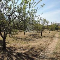 Land plot in the suburbs in Montenegro, Bar