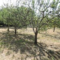 Land plot in the suburbs in Montenegro, Bar