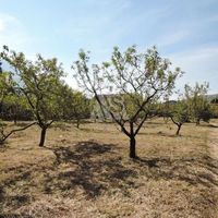 Land plot in the suburbs in Montenegro, Bar