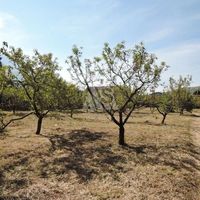 Земельный участок в пригороде в Черногории, Бар