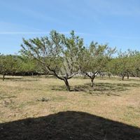 Land plot in the suburbs in Montenegro, Bar