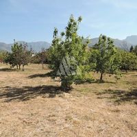 Land plot in the suburbs in Montenegro, Bar