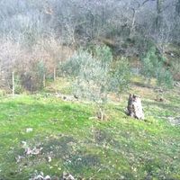 Land plot in the mountains, in the suburbs in Montenegro, Bar