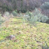 Land plot in the mountains, in the suburbs in Montenegro, Bar