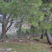 Land plot by the lake in Montenegro, Bar