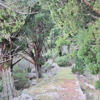 Land plot by the lake in Montenegro, Bar