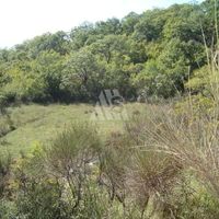 Земельный участок в пригороде в Черногории, Бар