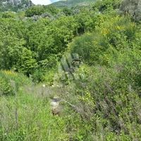 Land plot in the village, in the suburbs in Montenegro, Budva
