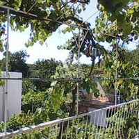 House in the suburbs in Montenegro, Bar, Sutomore, 150 sq.m.