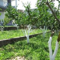 House in the suburbs in Montenegro, Bar, 220 sq.m.