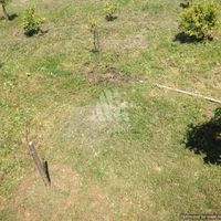 House in the suburbs in Montenegro, Bar, Dobra Voda, 320 sq.m.