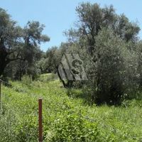 Land plot in the suburbs in Montenegro, Bar