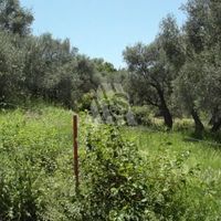 Land plot in the suburbs in Montenegro, Bar