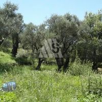 Land plot in the suburbs in Montenegro, Bar