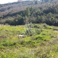Land plot in the suburbs in Montenegro, Bar