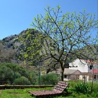 House in the suburbs in Montenegro, Bar, Sutomore, 50 sq.m.