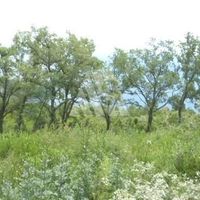 Земельный участок в пригороде в Черногории, Бар, Сутоморе