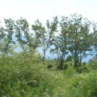 Земельный участок в пригороде в Черногории, Бар, Сутоморе