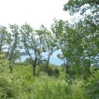 Земельный участок в пригороде в Черногории, Бар, Сутоморе