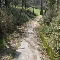 Дом в пригороде в Черногории, Бар, Сутоморе, 110 кв.м.