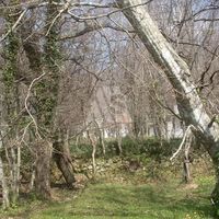 Дом в пригороде в Черногории, Бар, Сутоморе, 110 кв.м.