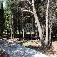 Land plot in Montenegro, Budva, Przno