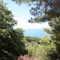 Land plot in Montenegro, Budva, Przno