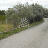 Land plot in the suburbs in Montenegro, Bar
