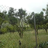 Land plot in the suburbs in Montenegro, Bar