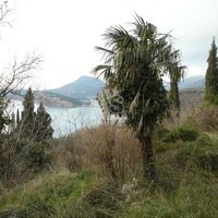 Land plot in the suburbs in Montenegro, Bar