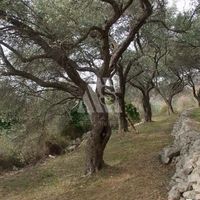 Land plot in the suburbs in Montenegro, Bar, Dobra Voda