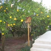 House in the suburbs in Montenegro, Bar, 130 sq.m.