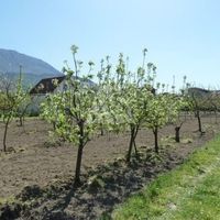 Flat in the suburbs in Montenegro, Bar, 66 sq.m.