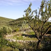 Land plot in the suburbs in Montenegro, Ulcinj