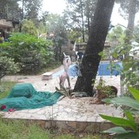 Дом в пригороде в Черногории, Бар, 260 кв.м.