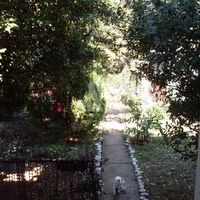 Дом в пригороде в Черногории, Бар, Сутоморе, 120 кв.м.